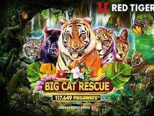 Big Cat Rescue Megaways™ thumbnail
